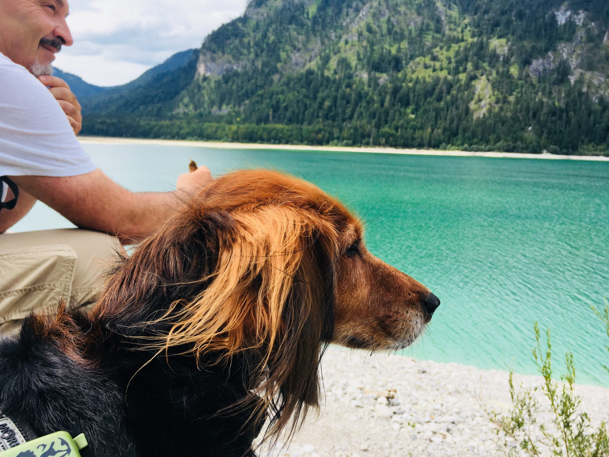 Campingplatz CAMPING WALCHENSEE